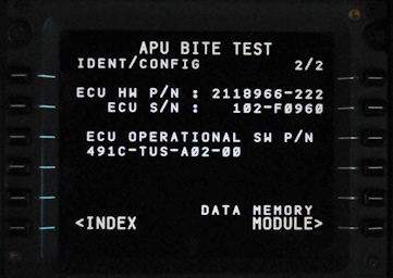 APU BITE test