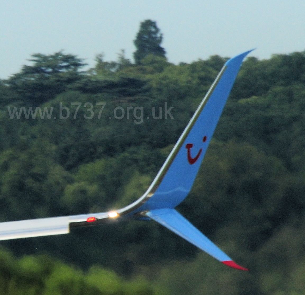 Split Scimitar Winglet